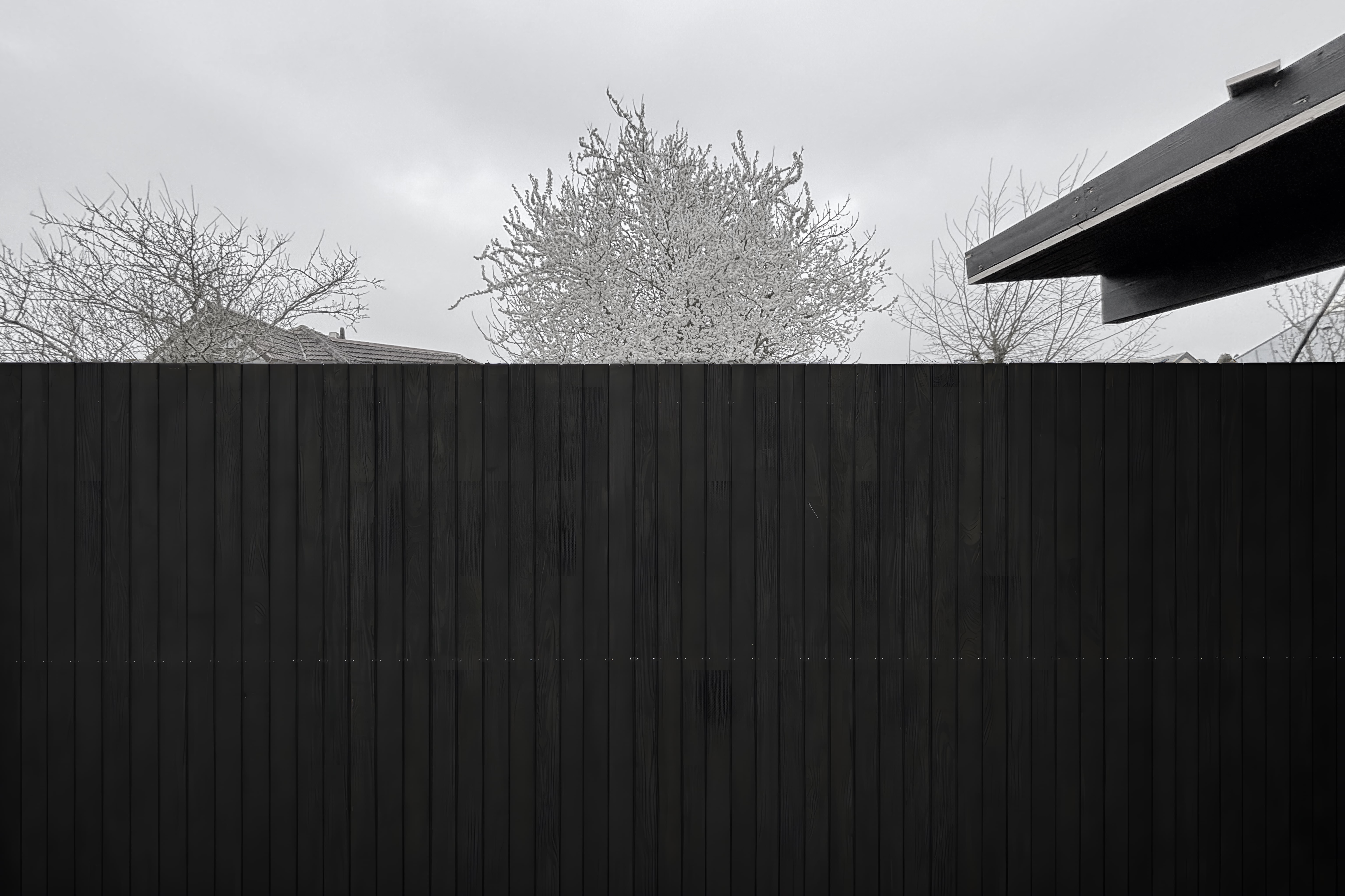 Julien Schirck Architecte